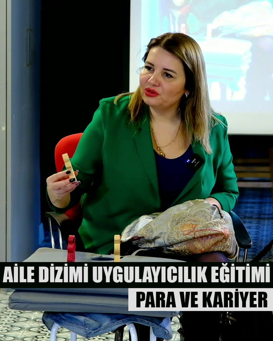 Aile Dizimi, Para ve İş Dinamikleri