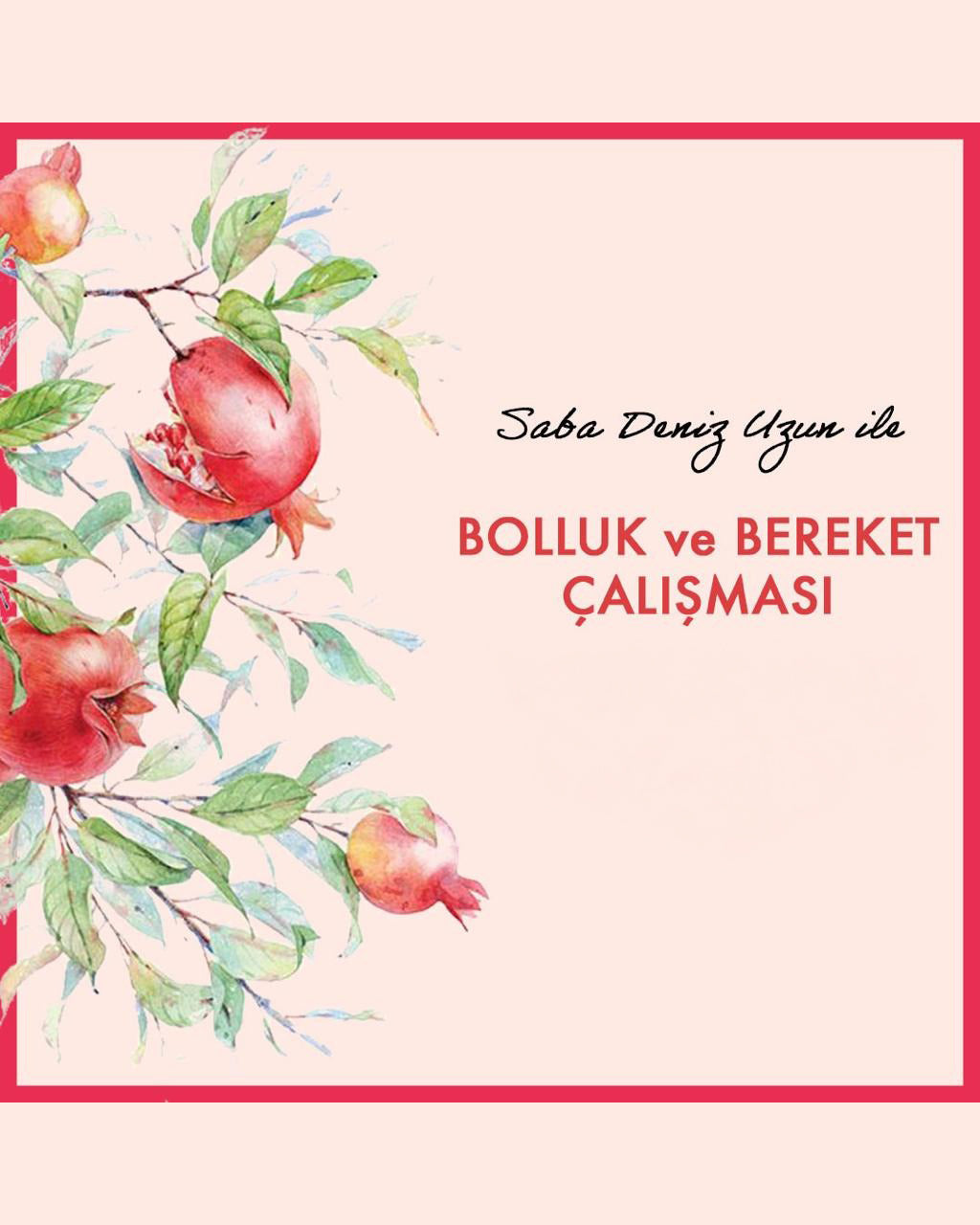 Bolluk ve Bereket Çalışmaları