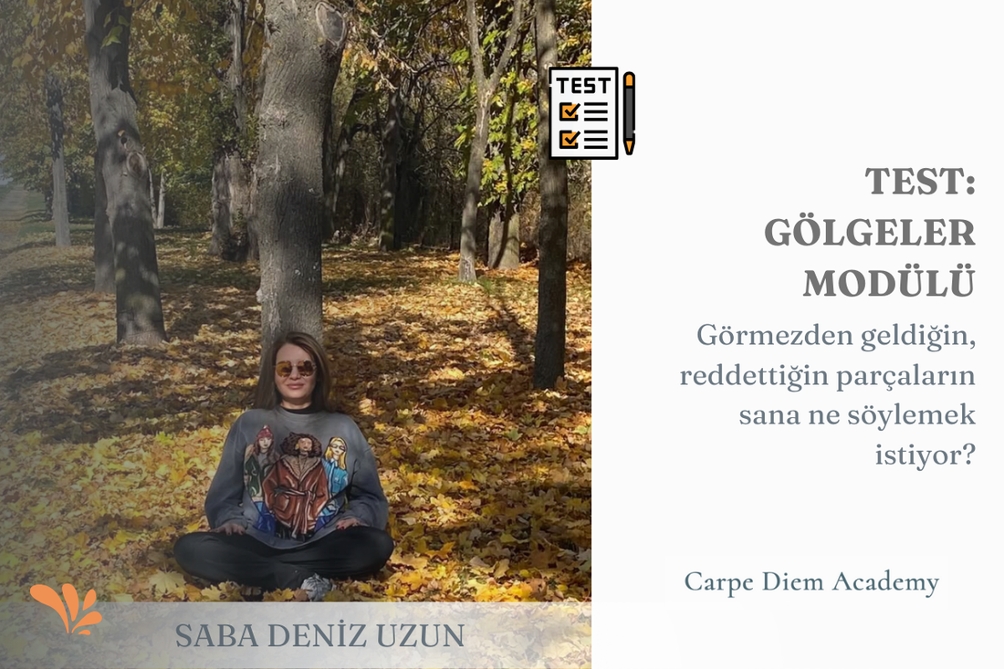 TEST: Gölgeler Modülü: Benim Gölge Parçam Bana Ne Söylemek İstiyor?  | SDU AİLE DİZİMİ EĞİTİMİ: GÖLGELER MODÜLÜ | Saba Deniz Uzun