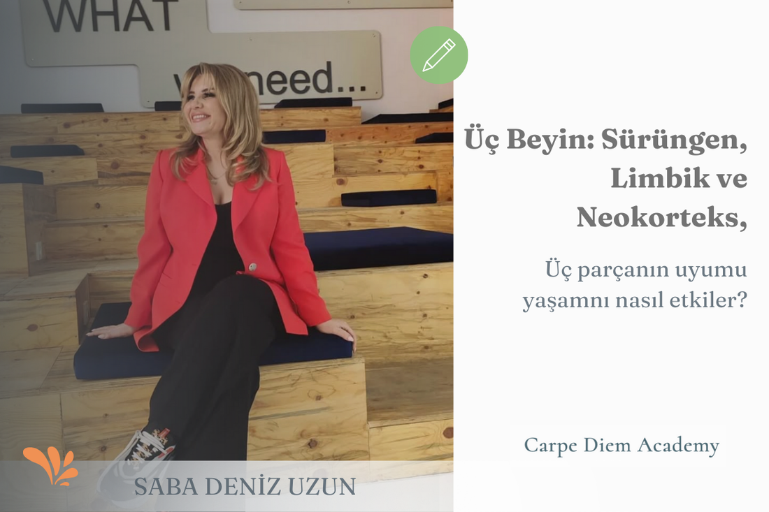 Üç Beyin” ile Yaşamak: Sürüngen Beyin, Limbik Sistem Ve Neokorteks Üzerinden Bilinçli Yaşam | Saba Deniz Uzun