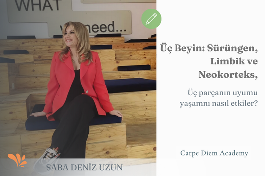 Üç Beyin” ile Yaşamak: Sürüngen Beyin, Limbik Sistem Ve Neokorteks Üzerinden Bilinçli Yaşam | Saba Deniz Uzun