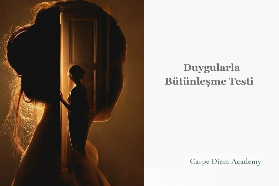 Duygularla Bütünleşme Testi