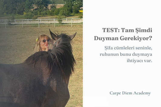 TEST: Ruhun Bunu Duymak İstiyor | Şifalandırıcı Cümleni Keşfet