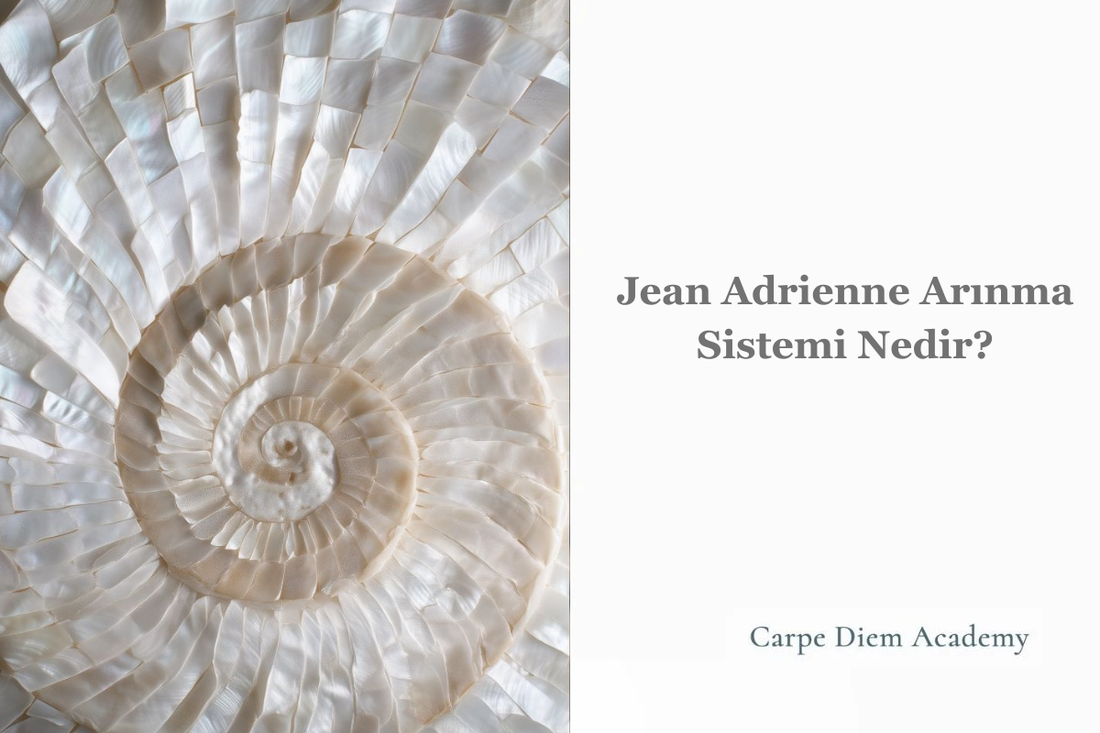 Jean Adrienne Arınma Sistemi (JAAS) Seansında Ne Olur?