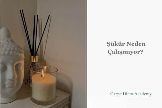 Şükür Neden Çalışmıyor?