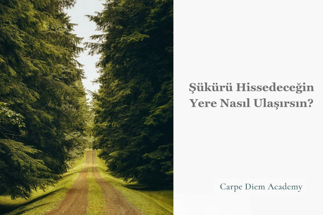 Şükürü Hissedeceğin Yere Nasıl Ulaşırsın?