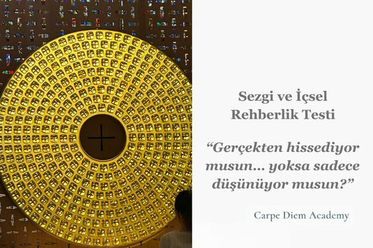 Sezgi ve İçsel Rehberlik Testi